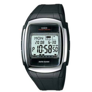 CASIO rv f[^oN